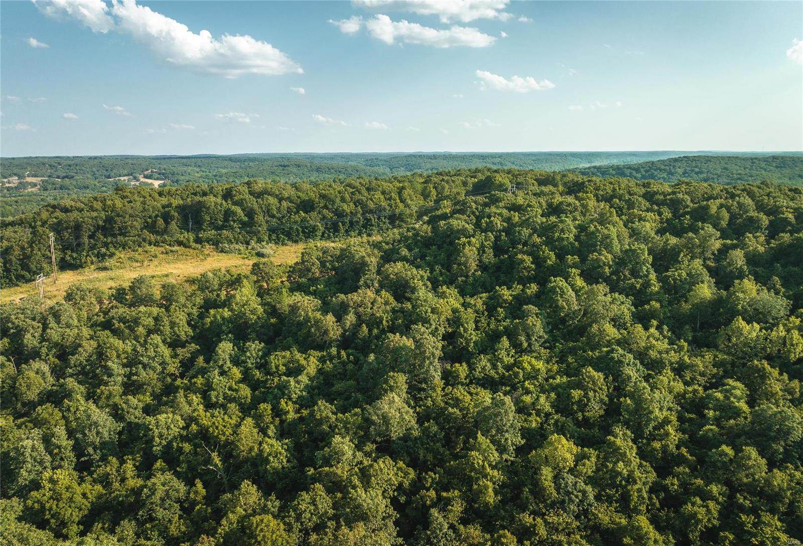 First slide