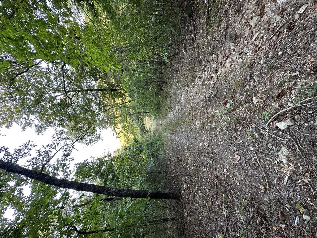 First slide