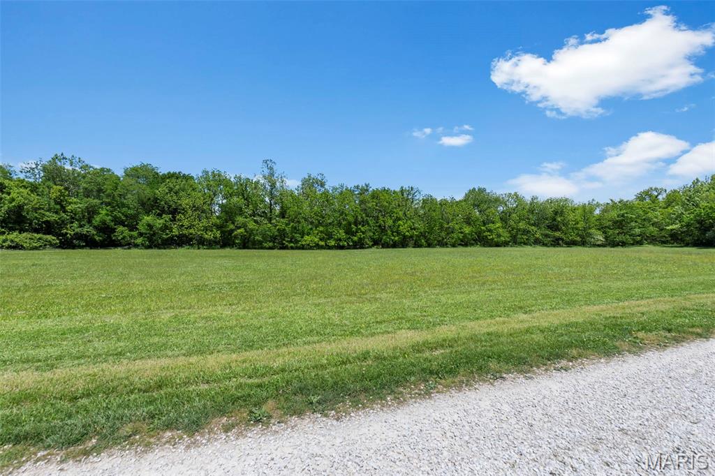 First slide