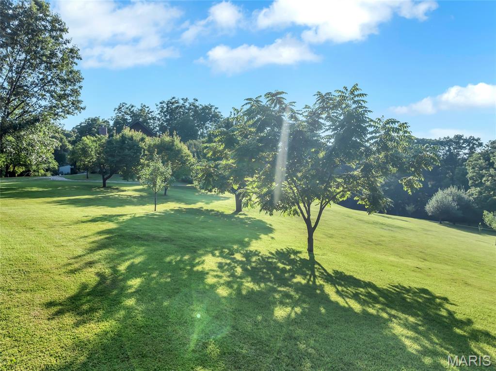 First slide