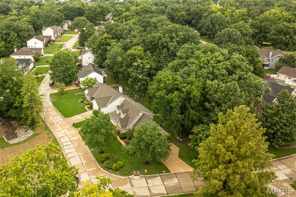First slide