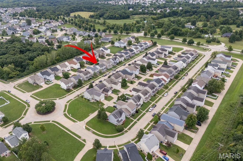 First slide