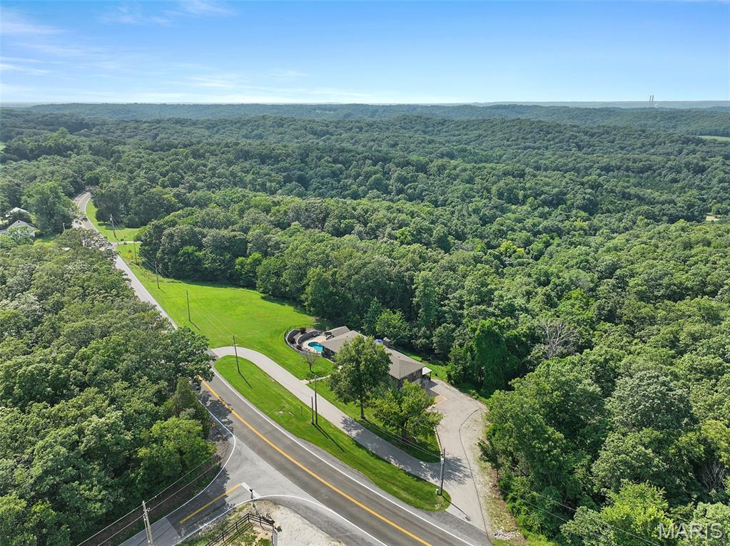 First slide