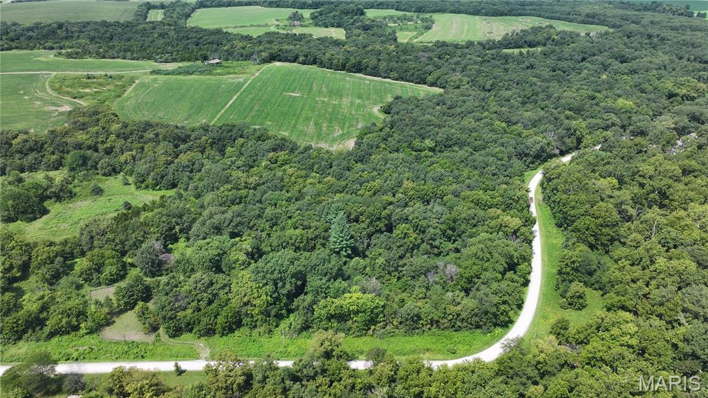 First slide