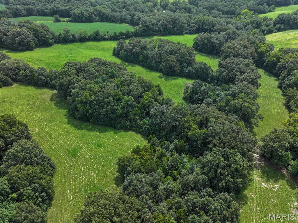 First slide