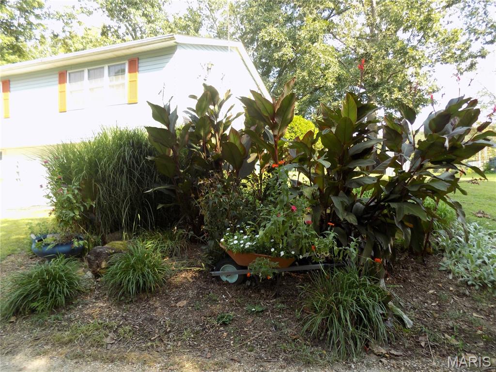 First slide